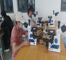 76net必赢官网